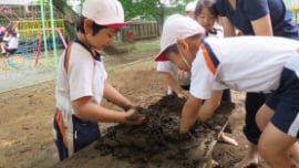 自然教育